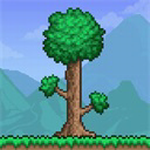 泰拉瑞亚破解版 v1.4.4 破解版