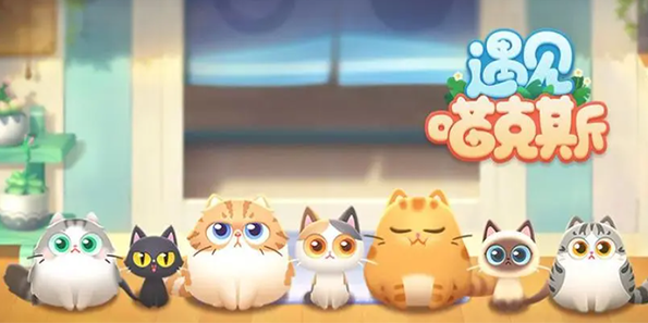 遇见喵克斯怎么生小猫 猫猫获取方法分享