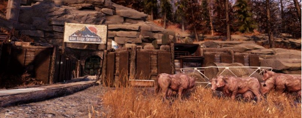 辐射76甜面包的配料都有什么 甜面包的配料分享