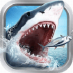 全民钓鱼破解版下载无限钻石金币  v8.7.6 无限钻石版