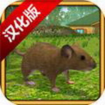 老鼠模拟器中文版破解版无限资源