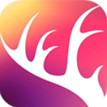 阡鹿旅游官网版