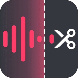 金舟音频大师免费版