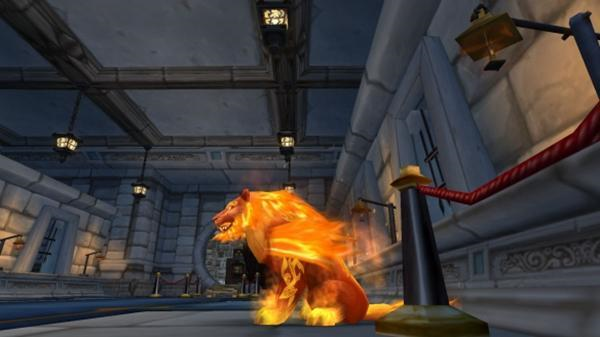魔兽世界时光服火猫怎么获得 魔兽世界时光服火猫获取方法